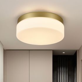 1 PACK LED Flush Mount Ceiling Light Fixture